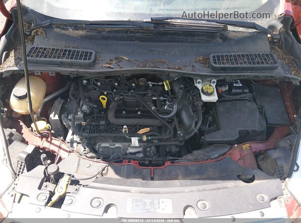 1FMCU9GD9KUA15344 2019 FORD ESCAPE Оранжевый Вид сзади
