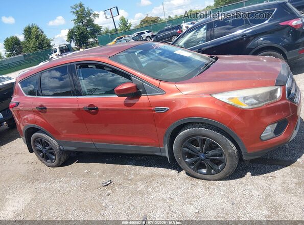 1FMCU9GD9KUA15344 2019 FORD ESCAPE Оранжевый Вид задней части салона