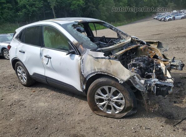 1FMCU9GN0SUB32495 2025 FORD ESCAPE White Przód prawy