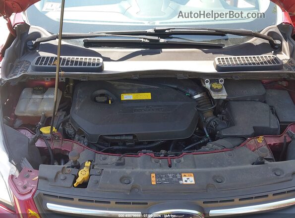 1FMCU9GX0GUC03090 2016 FORD ESCAPE Red Widok z tyłu