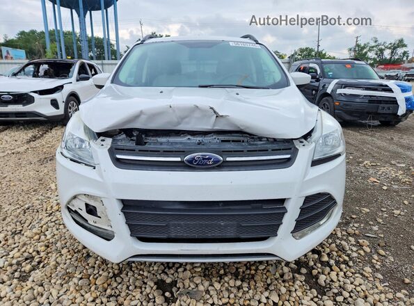 1FMCU9GX5GUB70572 2016 FORD ESCAPE White Front view