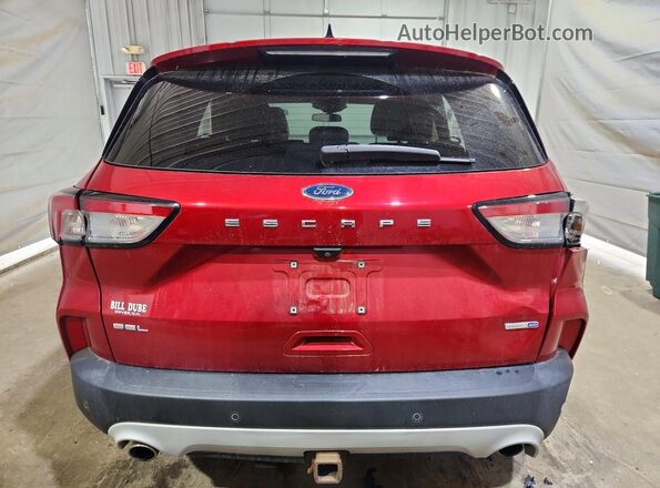 1FMCU9H96LUA89302 2020 FORD ESCAPE Red Widok z tyłu