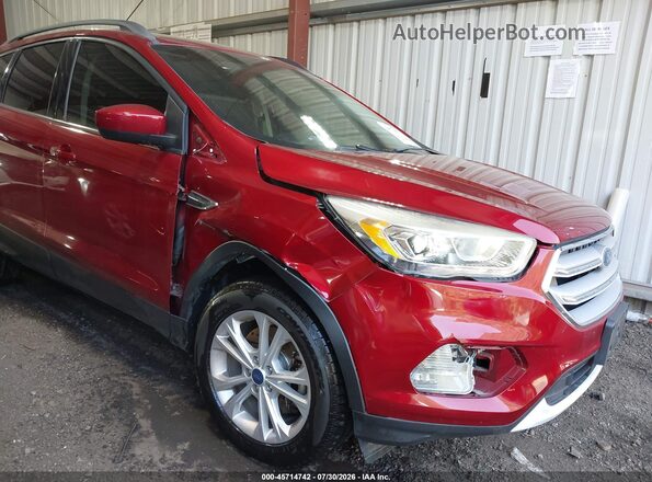 1FMCU9HDXKUB21736 2019 FORD ESCAPE Красный Вид спереди
