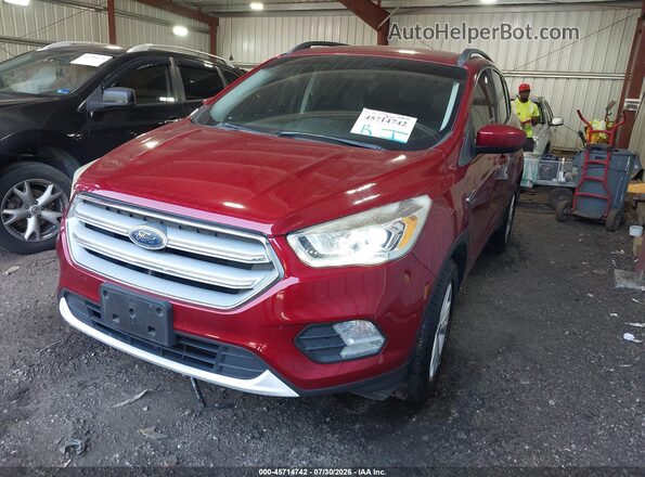1FMCU9HDXKUB21736 2019 FORD ESCAPE Красный Передняя левая четверть