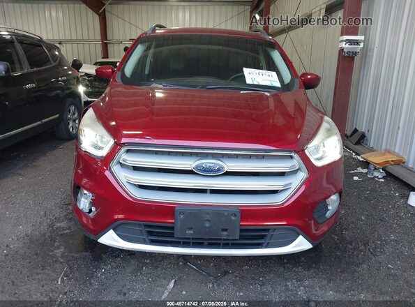 1FMCU9HDXKUB21736 2019 FORD ESCAPE Красный Вид задней части салона