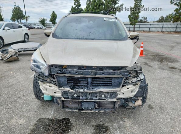 1FMCU9J93JUB55103 2018 FORD ESCAPE Beige Vista frontal