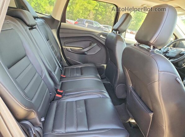 1FMCU9J97KUC18172 2019 FORD ESCAPE Черный Вид задней части салона