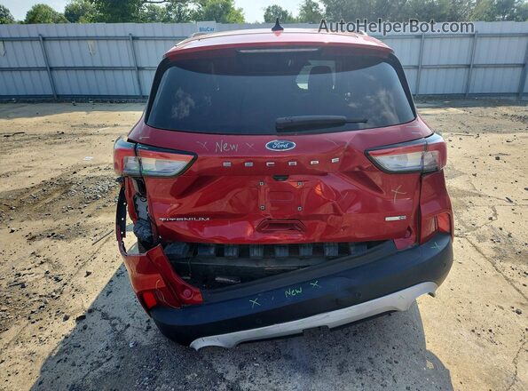 1FMCU9J98LUB37635 2020 FORD ESCAPE Red Widok z tyłu