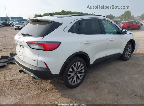 1FMCU9J98NUB41932 2022 FORD ESCAPE White Tył prawy