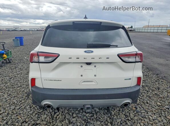 1FMCU9J99LUB71129 2020 FORD ESCAPE White Հետևի տեսք