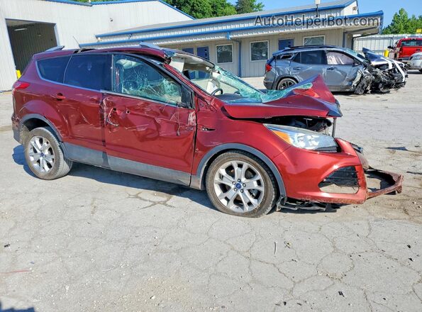 1FMCU9J9XGUA14070 2016 FORD ESCAPE Темно-бордовый Передняя правая четверть
