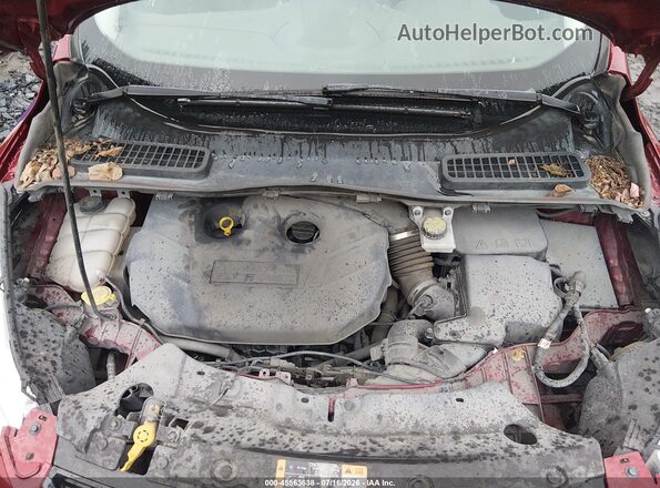 1FMCU9J9XGUC28895 2016 FORD ESCAPE Red Widok z tyłu