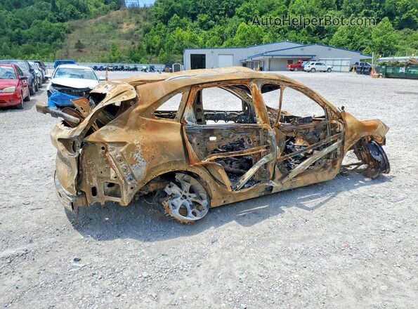 1FMCU9MN5SUB16894 2025 FORD ESCAPE Burn Հետևի աջ