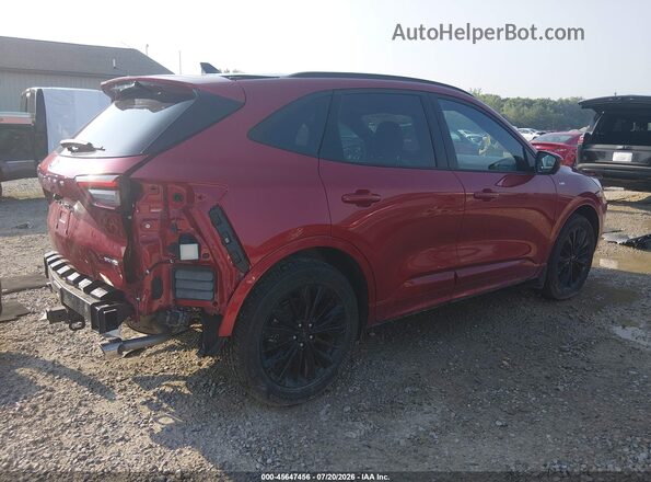 1FMCU9PA3SUB68954 2025 FORD ESCAPE Red Tył prawy