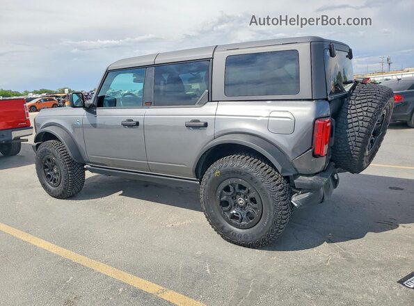 1FMEE1BP0RLB50768 2024 FORD BRONCO Gray Задня ліва чверть