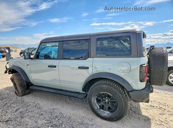 1FMEE2BP1RLA14073 2024 FORD BRONCO Gray უკანა მარცხენა