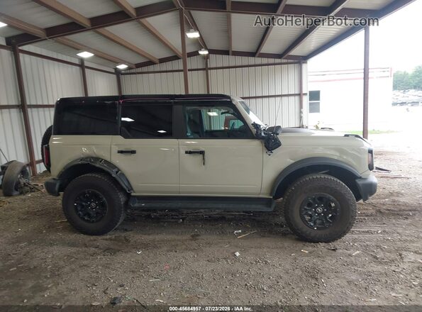 1FMEE8BP7SLB15899 2025 FORD BRONCO Кремовый Вид задней части салона