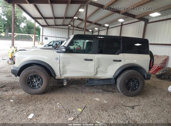1FMEE8BP7SLB15899 2025 FORD BRONCO Кремовый Панорамный вид салона 360°