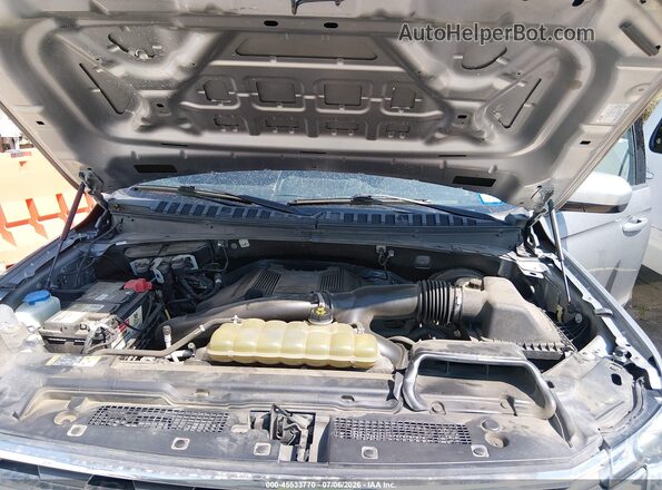 1FMJU1HT0LEA80352 2020 FORD EXPEDITION Silver Rear view
