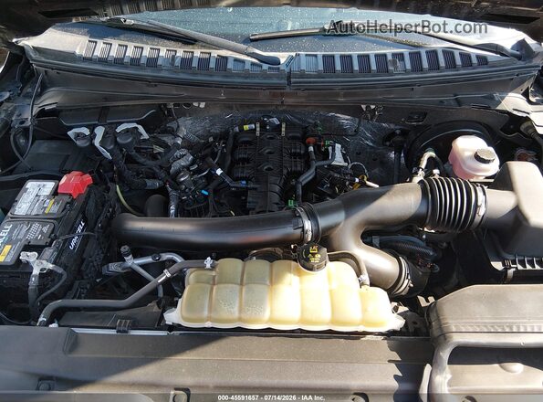 1FMJU1JT0MEA16646 2021 FORD EXPEDITION Черный Вид сзади