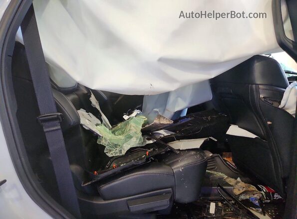 1FMJU1M83SEA75842 2025 FORD EXPEDITION White Widok wnętrza z tyłu