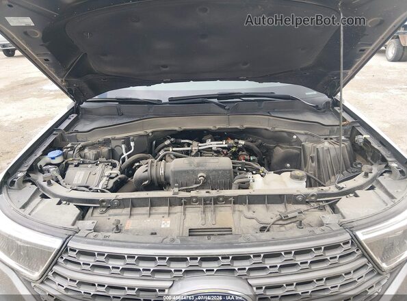 1FMSK7DH6RGA17557 2024 FORD EXPLORER Gray Widok z tyłu