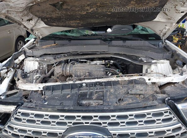1FMSK7FH5MGB50798 2021 FORD EXPLORER Белый Вид сзади