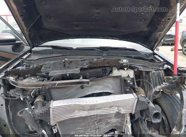 1FMSK7FH6RGA04711 2024 FORD EXPLORER Black Вид ззаду