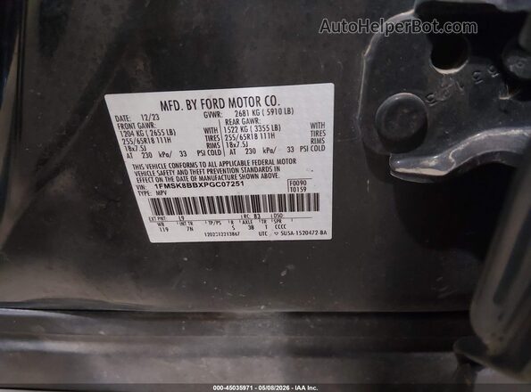 1FMSK8BBXPGC07251 2023 FORD EXPLORER Gray Engine compartment view