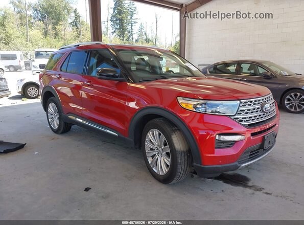 1FMSK8FH4LGD06866 2020 FORD EXPLORER Красный Вид задней части салона