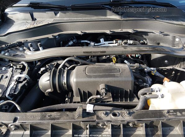 1FMSK8FH8RGA81439 2024 FORD EXPLORER Gray Widok z tyłu