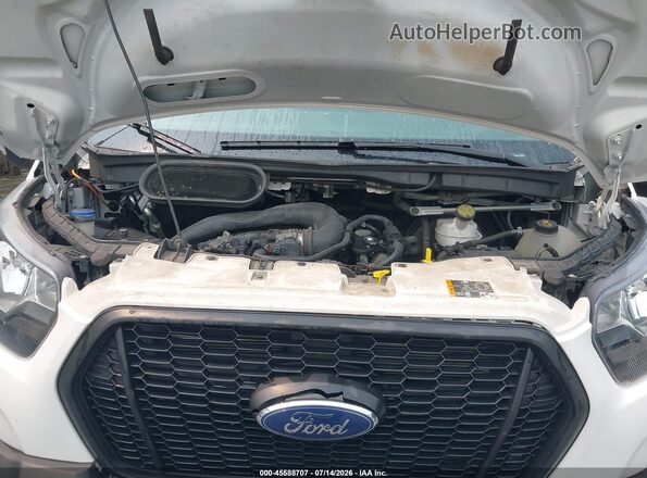 1FMZK1Y8XMKB03501 2021 FORD TRANSIT-150 PASSENGER VAN White Հետևի տեսք