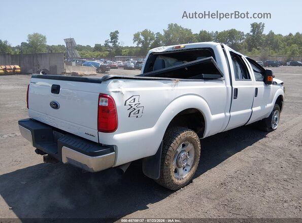 1FT7W2B69GEC24195 2016 FORD F-250 White Tył prawy