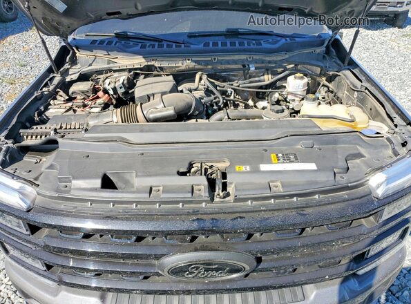1FT7W2BNXRED50074 2024 FORD F250 Gray Rear interior view