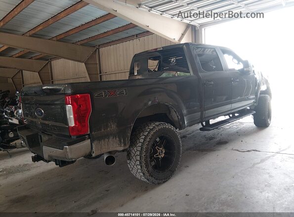 1FT7W2BT7HEB13491 2017 FORD F-250 Серый Задняя правая четверть