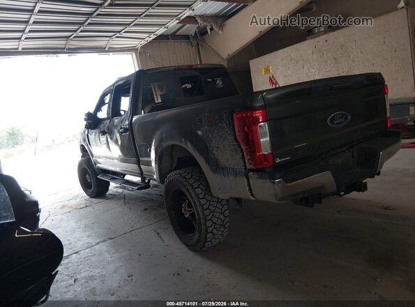 1FT7W2BT7HEB13491 2017 FORD F-250 Серый Задняя левая четверть