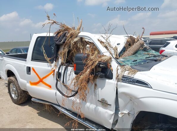 1FT7W2BT9GEA65832 2016 FORD F-250 White 