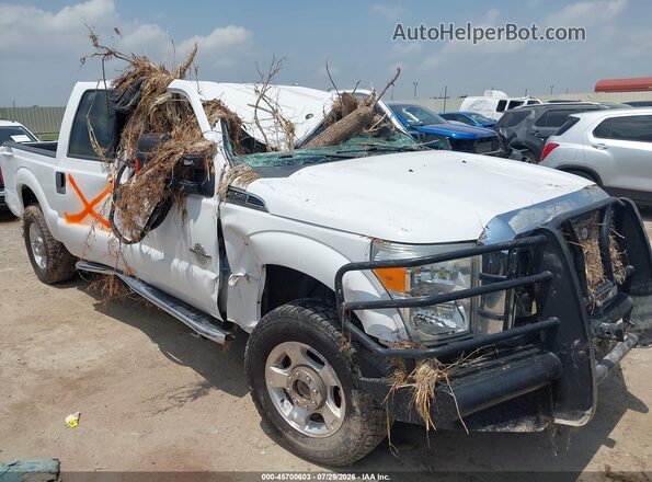 1FT7W2BT9GEA65832 2016 FORD F-250 White 