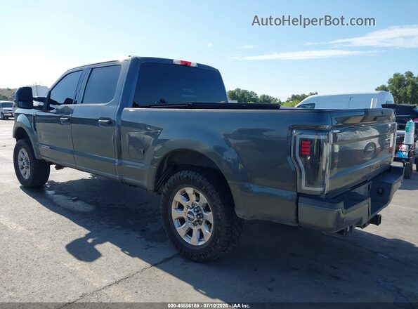 1FT7W2BTXHEF45962 2017 FORD F-250 Gray Tył lewy