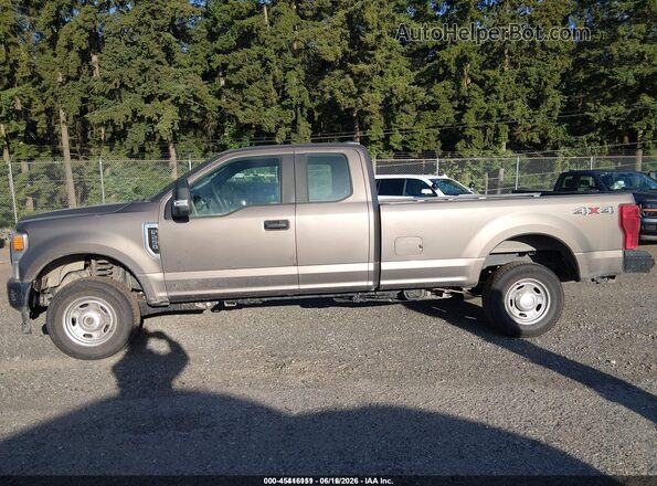 1FT7X2B69NEE46049 2022 FORD F-250 Gold Սալոնի 360 աստիճան տեսք