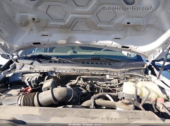 1FT7X2BA2REC22731 2024 FORD F-250 White Հետևի տեսք