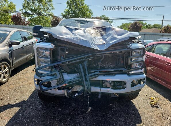1FT8W2BM5REF41025 2024 FORD F250 Gray Widok z przodu