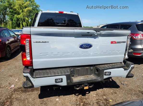 1FT8W2BM5REF41025 2024 FORD F250 Gray Widok z tyłu