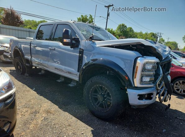 1FT8W2BM5REF41025 2024 FORD F250 Gray Przód prawy