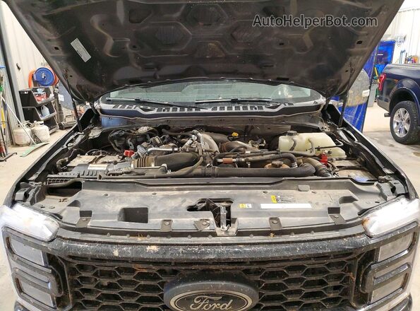 1FT8W2BM8SEC57233 2025 FORD F250 Black Սալոնի հետևի տեսք