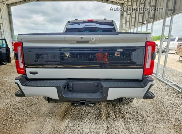 1FT8W2BM8SEC94444 2025 FORD F250 Серый Вид сзади