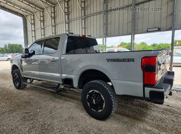 1FT8W2BM8SEC94444 2025 FORD F250 Серый Задняя левая четверть