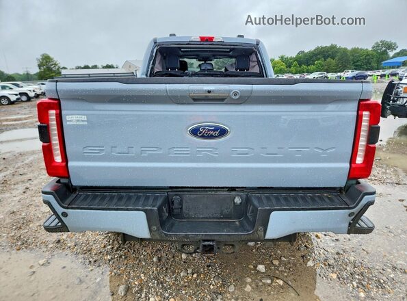 1FT8W2BMXREE16151 2024 FORD F250 Серый Вид сзади