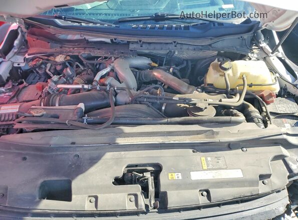 1FT8W2BT0PED81589 2023 FORD F250 White Սալոնի հետևի տեսք