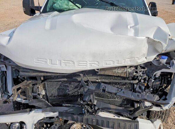 1FT8W2BT4SEE08690 2025 FORD F250 Белый Вид задней части салона